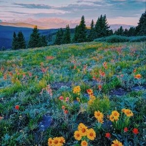 Meet your Posher, London